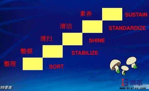 工廠5S管理 工廠5S管理